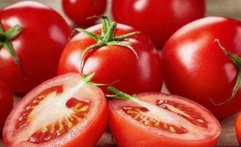 娱乐吃瓜酱西红柿,西红柿的瓜界传奇